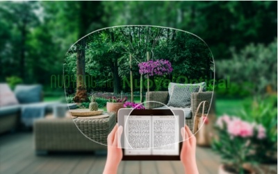 Bifocal-Round top lenses